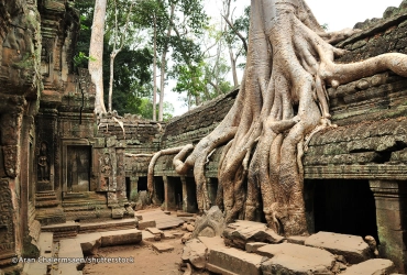 Phnom Penh - Kampot - Kep