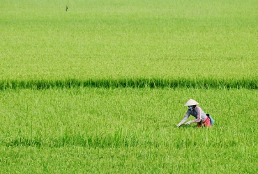 Siem Reap – Countryside cooking class (B, L)