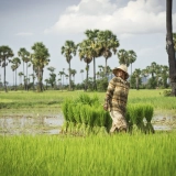 Cambodge Insolite