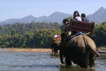 Luang Prabang - Spedizione degli elefanti a Shangri Lao