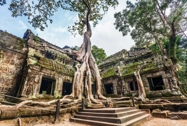 Siem Reap - I templi di Angkor (Pc)