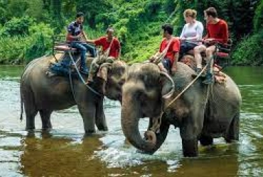 Villaggio degli elefanti di Luang Prabang (B, L)