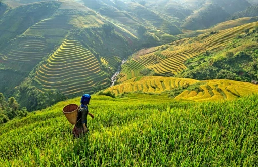 Migliori luoghi da visitare in Vietnam del Nord: Top luoghi più belli