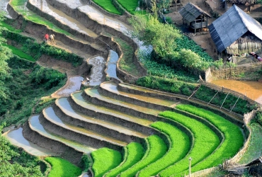 Mai Chau - Mai Hich - Mai Ha - Kun Pheo (B/L/D)