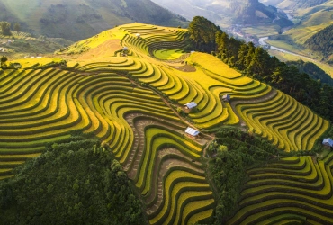 Nghia Lo - Tu Le - Mu Cang Chai (B,L,D)