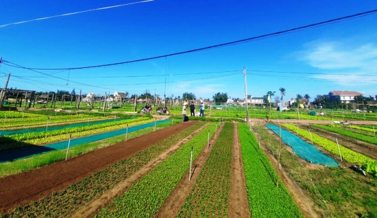 Una giornata in bicicletta attraverso il paesaggio di Hoi An