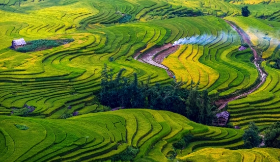 Tour Sapa e Y Ty: 3 giorni sull'altopiano del Vietnam