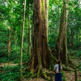 Parco nazionale Cuc Phuong: Una giornata all'insegna del fascino della natura