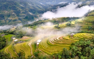 Alla scoperta della bellezza selvaggia: Avventura di 4 giorni a Pu Luong e Ngoc Son Ngo Luong