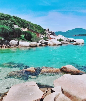 Scoprite la tranquilla bellezza dell'Isola delle Balene