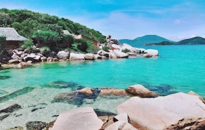 Scoprite la tranquilla bellezza dell'Isola delle Balene