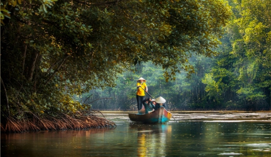 Escursione Can Gio: Riserva Mondiale della Biosfera in 1 giorno