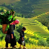 Esplorate lo spettacolare Mu Cang Chai: avventura di trekking di 3 giorni