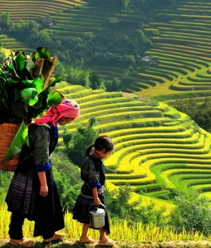 Esplora Mu Cang Chai con un'avventura di trekking di 3 giorni