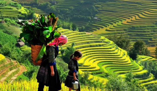 Esplora Mu Cang Chai con un'avventura di trekking di 3 giorni