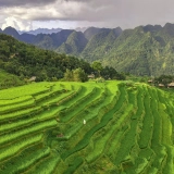 Scoprite la bellezza della natura: Escursione di 6 giorni a Pu Luong e Mai Chau