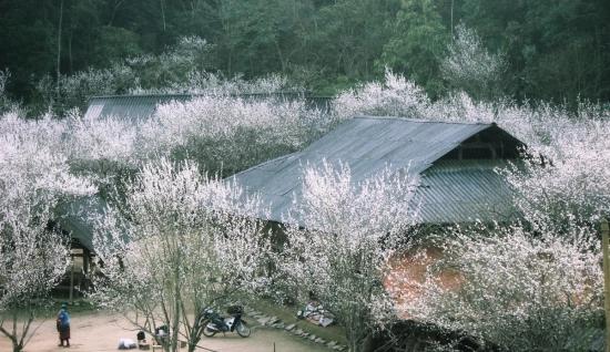 Tour in Vietnam 6 giorni - Scoperta della bellezza incontaminata