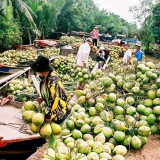 Scoprite il fascino del Delta del Mekong e la serenità dell'isola di Phu Quoc