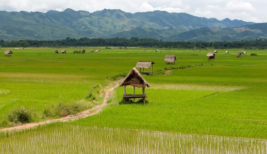 Campeggio nella giungla a Nam Ha