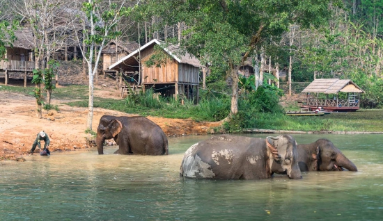 Viaggio a Luang Prabang 5 giorni - Pernottamento al Campo degli Elefanti