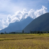 Viaggio culturale e naturale nel nord della Thailandia: Avventura Palong - Chiang Dao