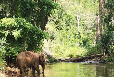 Phnom Penh - Mondulkiri (375 km in furgone) (L/D)