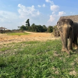 La scoperta della natura selvaggia del Mondulkiri