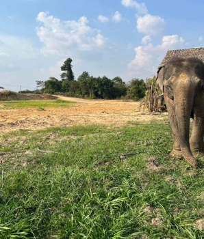 La scoperta della natura selvaggia del Mondulkiri