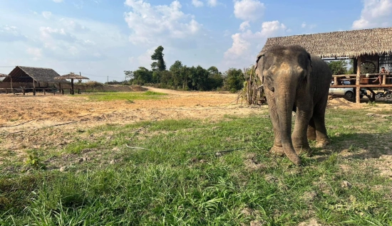 La scoperta della natura selvaggia del Mondulkiri