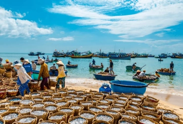 Mui Ne - Partenza da Saigon (B)