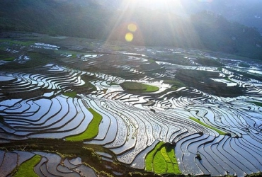 Dien Bien Phu - Lai Chau - Sapa (B)