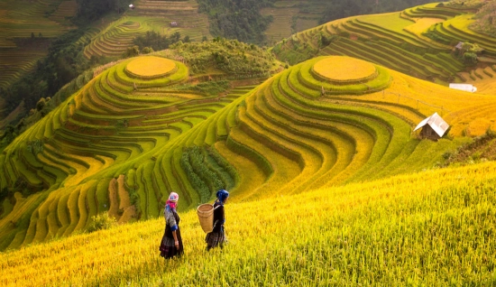 Alla scoperta del Vietnam settentrionale: Uno viaggio di 10 giorni