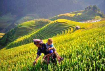 Mu Cang Chai - Sapa (B)