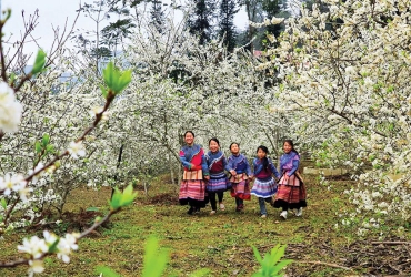 Bac Ha - Hanoi (B)