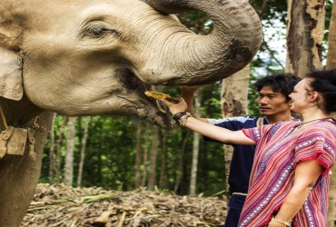 Chiang Mai - Santuario dei elefanti nella giungla (B, L) Join-in tour con guida parlante inglese