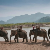 Esplora l'autentico Laos del nord in 11 giorni