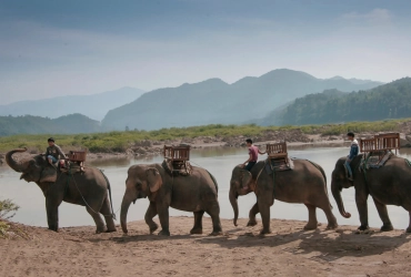 Luang Prabang - Esperienza con gli elefanti (B, L)