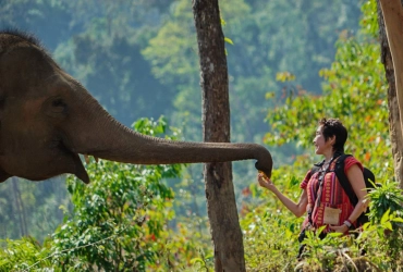 Chiang Mai - Santuario della giungla degli elefanti (B, L) Join tour con guida parlante inglese