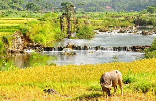 Trekking Pu Luong, Thanh Hoa: cose che dovreste sapere