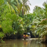 Innamorarsi del fiume: Viaggio attraverso Ben Tre