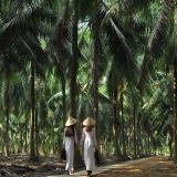 Innamorarsi del fiume: Viaggio attraverso Ben Tre