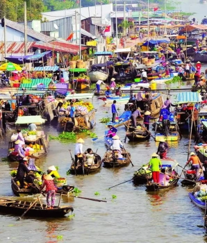 Immergetevi nella bellezza del Delta del Sud