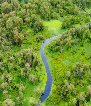 Viaggio breve a Delta del Mekong: Avventura ecologica