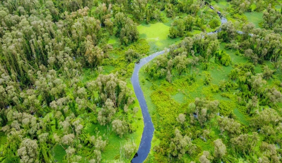 Viaggio breve a Delta del Mekong: Avventura ecologica