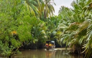 Viaggio nella regione fluviale: Tour del Delta del Mekong