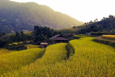 Nam Sai - My Son - Nam Toong - Sapa - Treno notturno per Hanoi (B, L)