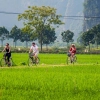 Esperienza in  bicicletta a Ninh Binh: Cose che dovreste sapere