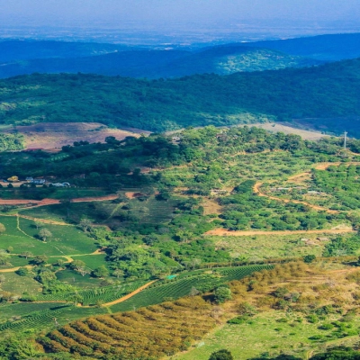 Doi Mae Salong