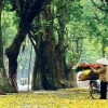 Dove andare in Vietnam in autunno