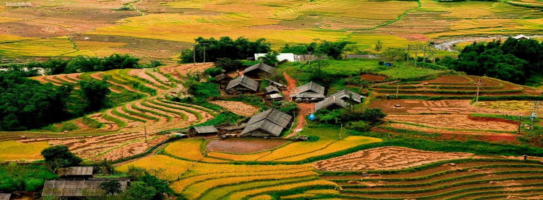 Trekking nella valle di Muong Hoa e gruppi etnici locali: la bellezza di SaPa